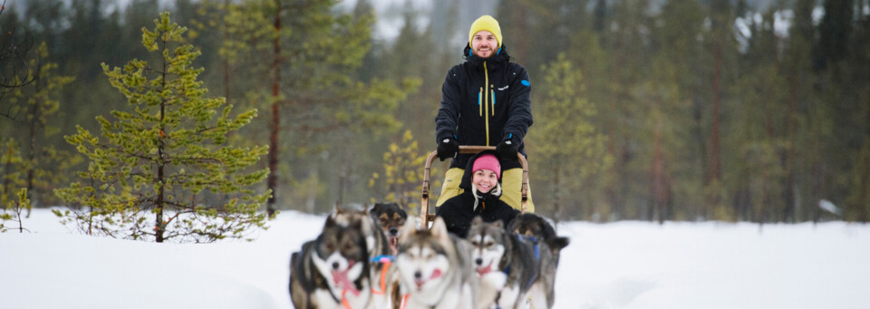 Husky Gespann