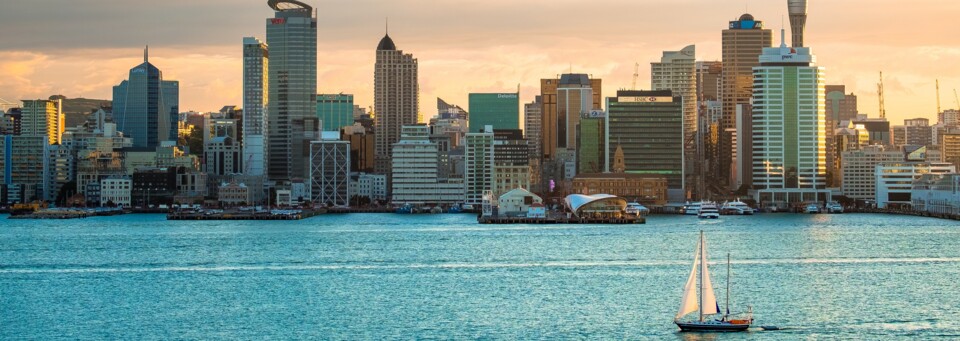 Auckland Skyline