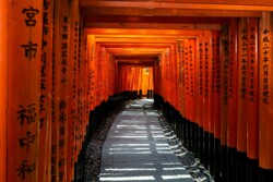 Fushimi Inari Tempel in Kyoto