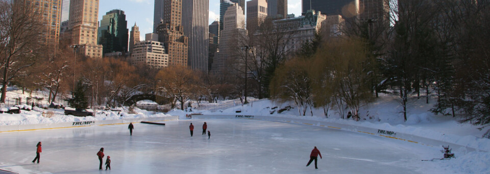 Central Park im Winter