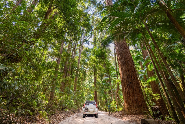 K'gari (Fraser Island) in Queensland