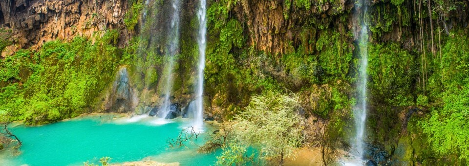 Salalah - grüne Oase Omans