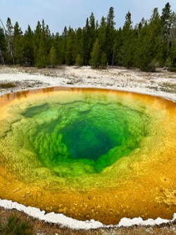 Yellowstone National Park