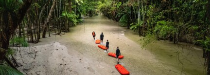 Daintree Wildlife Safari