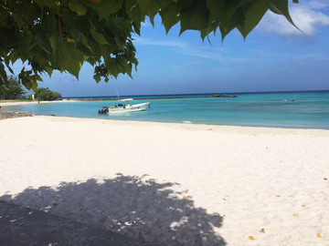 Barbados Reisebericht - Pebbles Beach