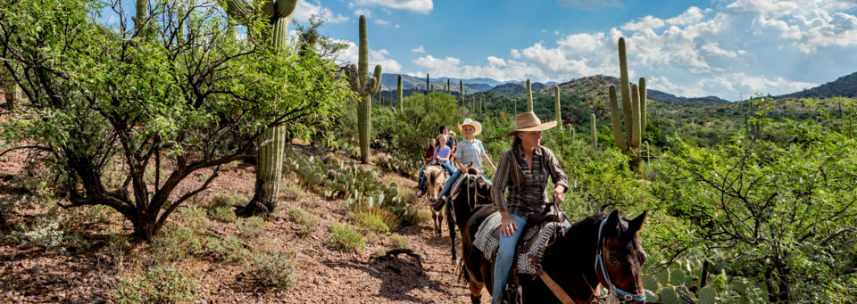 Gateway Trailhead: Der große Eingang zum McDowell Sonoran Preserve von Scottsdale