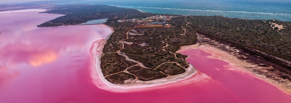 Pink Lake in Western Australia