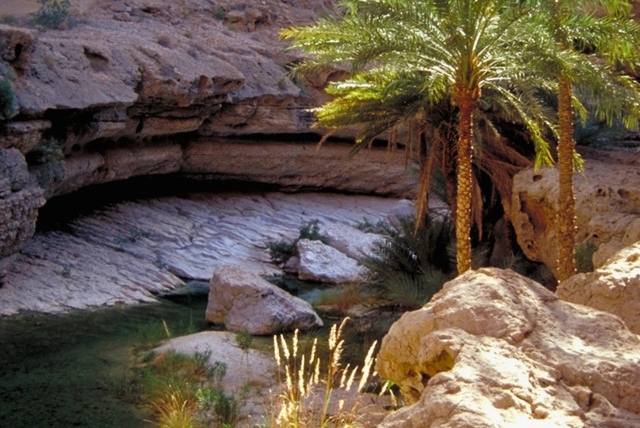 Oasis Wadi Bani Khalid, Oman