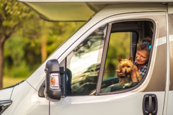 Urlaub mit Hund im Wohnmobil