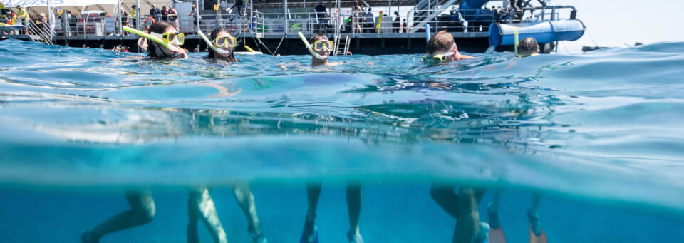 Tauchen am Great Barrier Reef