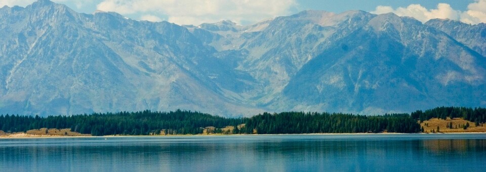 Berge im Yellowstone Nationalpark