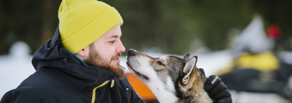 Husky Safari in Finnland