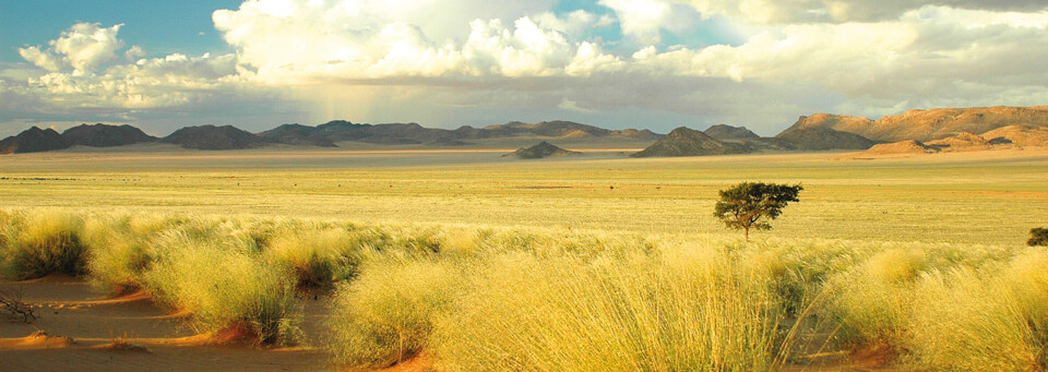 Kleine Karoo in Südafrika