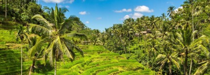 Facettenreiches Bali & Strandtage im Luxus-Urlaubsparadies