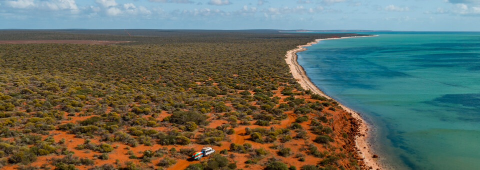 Shark Bay 