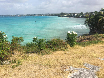 Barbados Reisebericht - Surfer in Freight's Bay