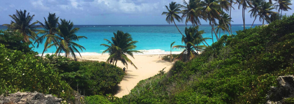 Barbados Reisebericht: Bottom Bay Strand