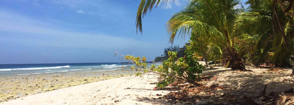 Barbados Reiseberich - Drill Hall Beach