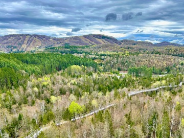 Mont Tremblant