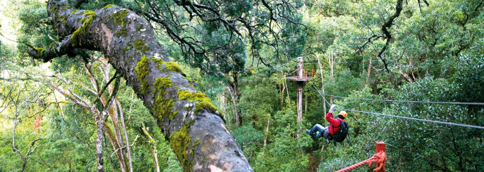 Canopy-Tour Tsitsikamma Nationalpark