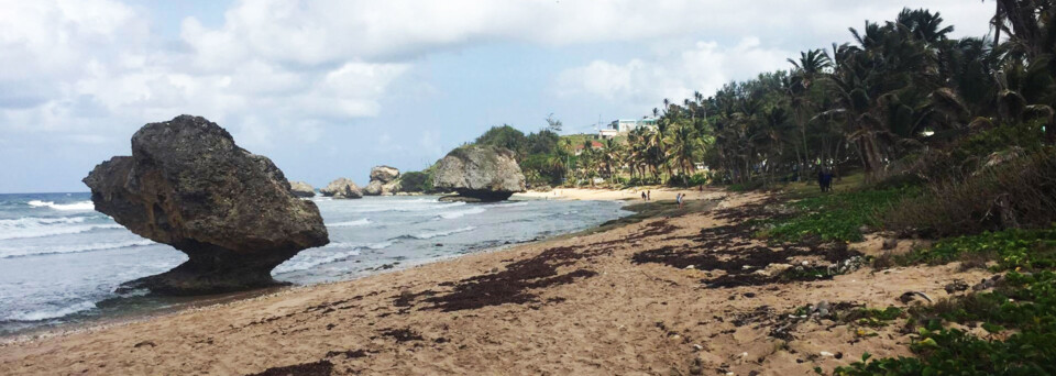 Barbados Reisebericht - Bathsheba Strand