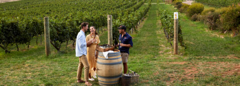 Printhie Wines © Destination NSW