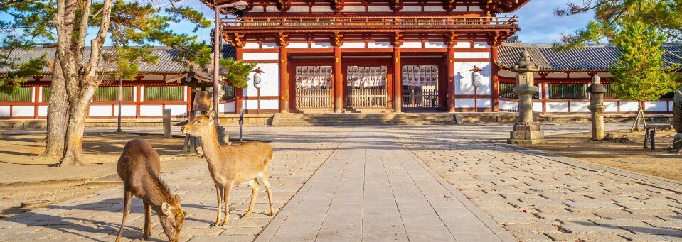 Nara in Japan